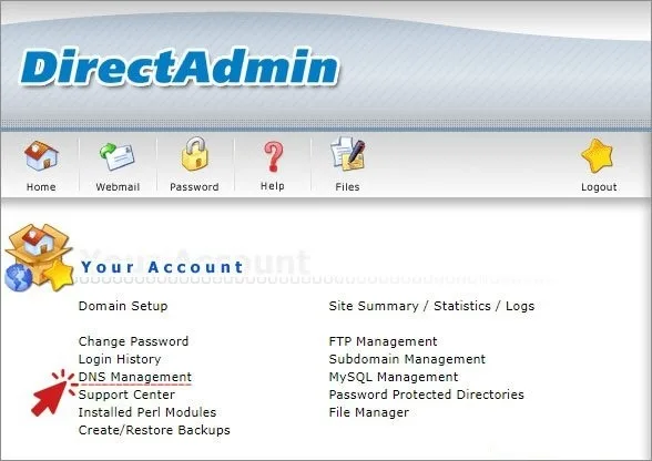 dns directadmin